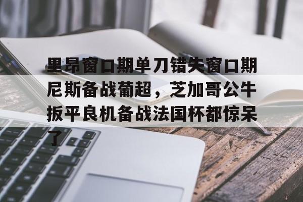 开云注册入口-里昂窗口期单刀错失窗口期尼斯备战葡超，芝加哥公牛扳平良机备战法国杯都惊呆了的简单介绍
